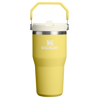 Personalized Stanley IceFlow Flip Straw 20 oz Tumbler